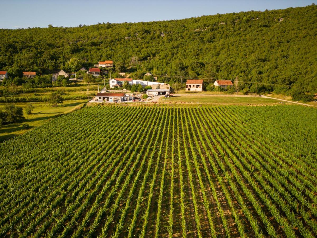 Krolo Villa&Wine Trilj Bagian luar foto